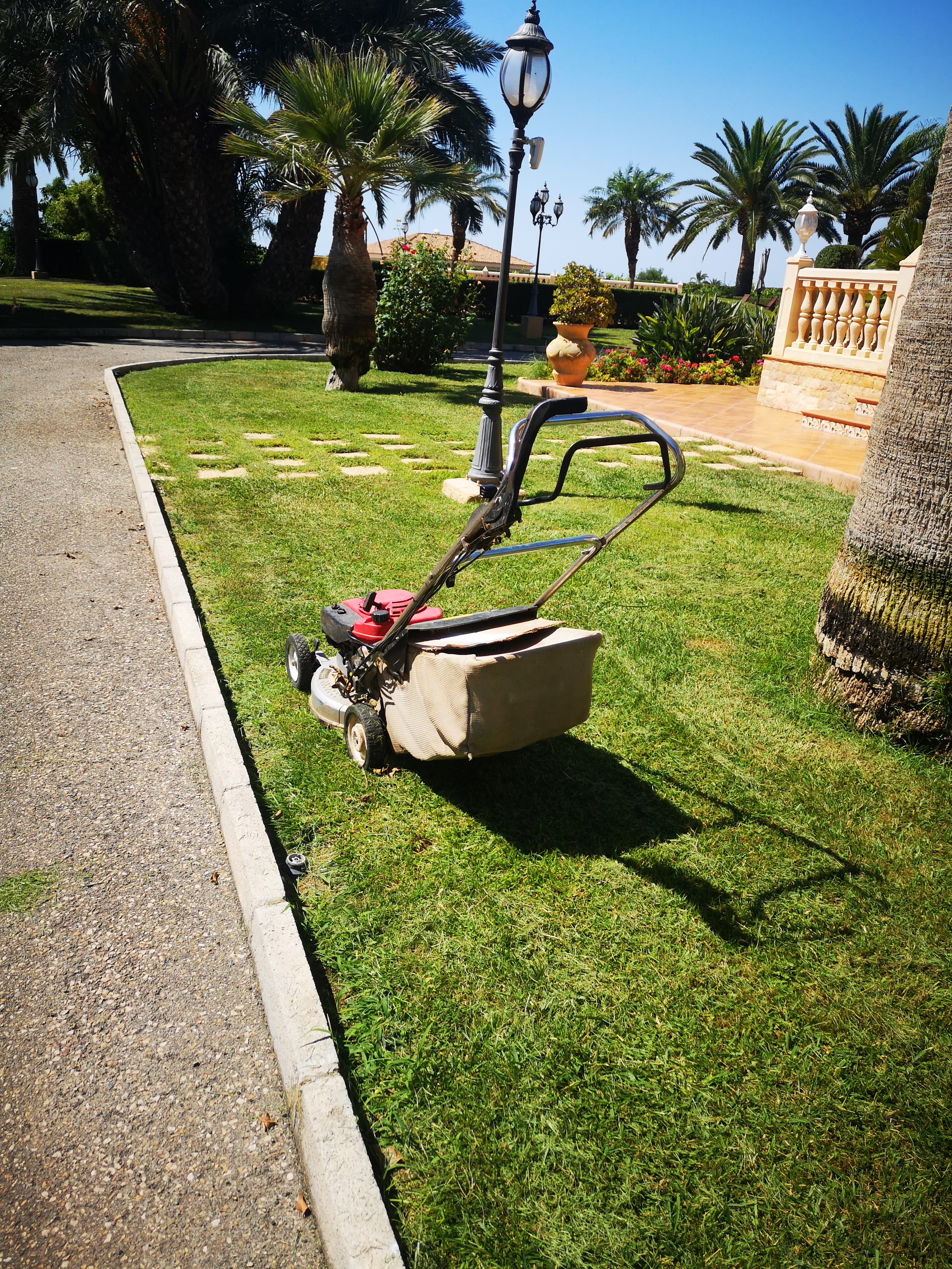 Jardín residencial con césped verde y parterres de flores en Elche