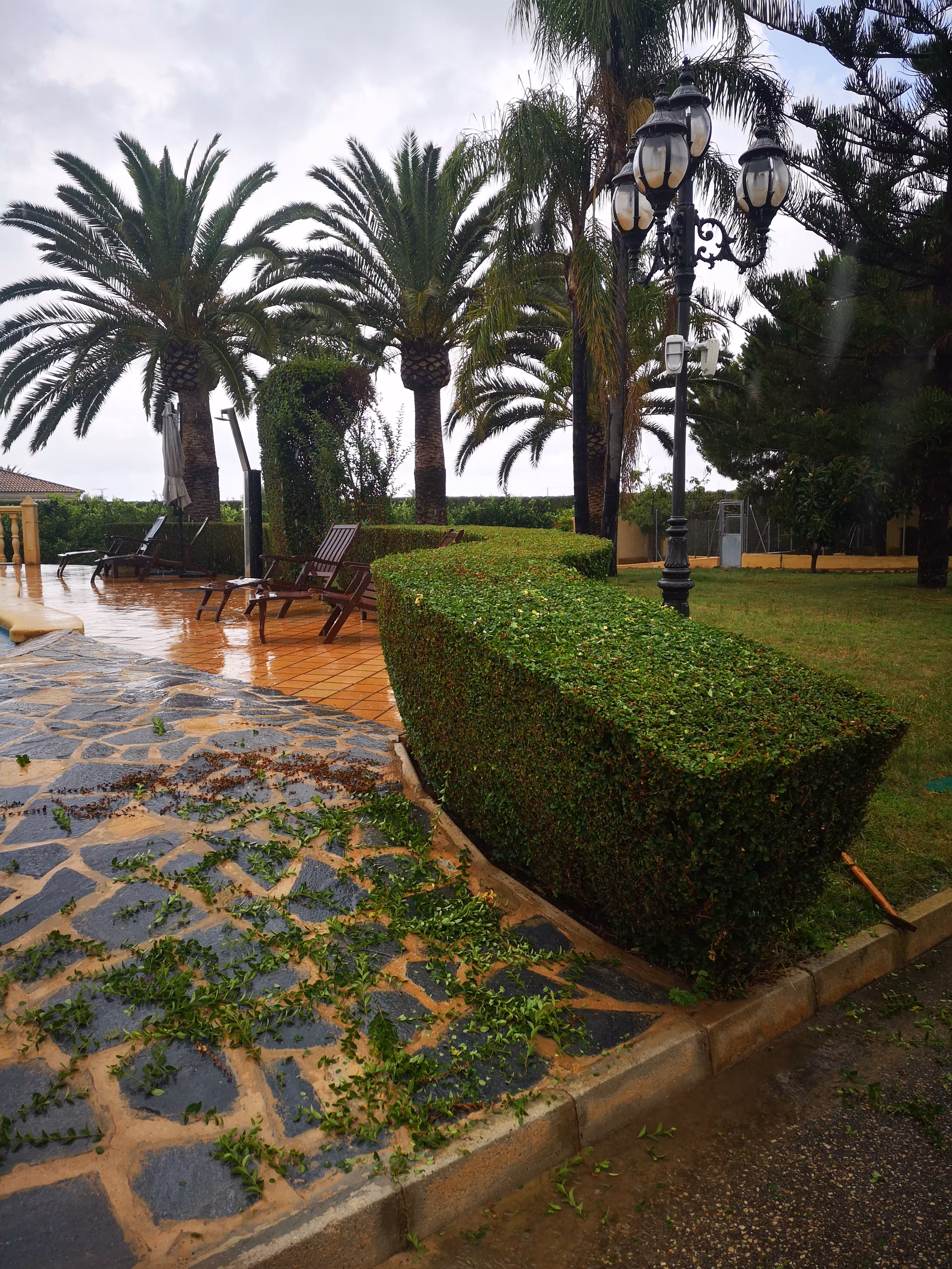 Jardín mediterráneo con palmeras y vegetación exuberante
