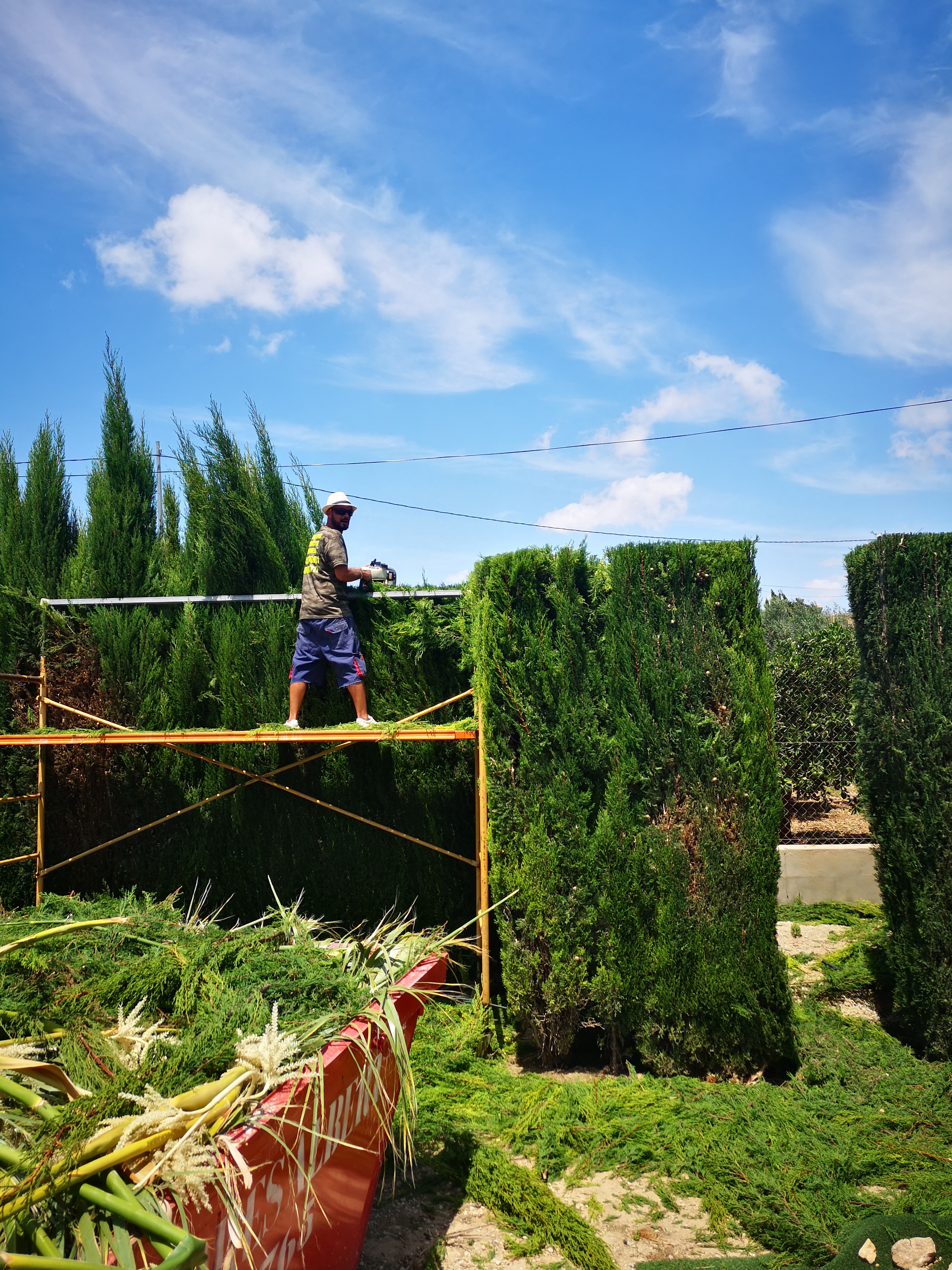 Jardín mediterráneo con palmeras y vegetación exuberante