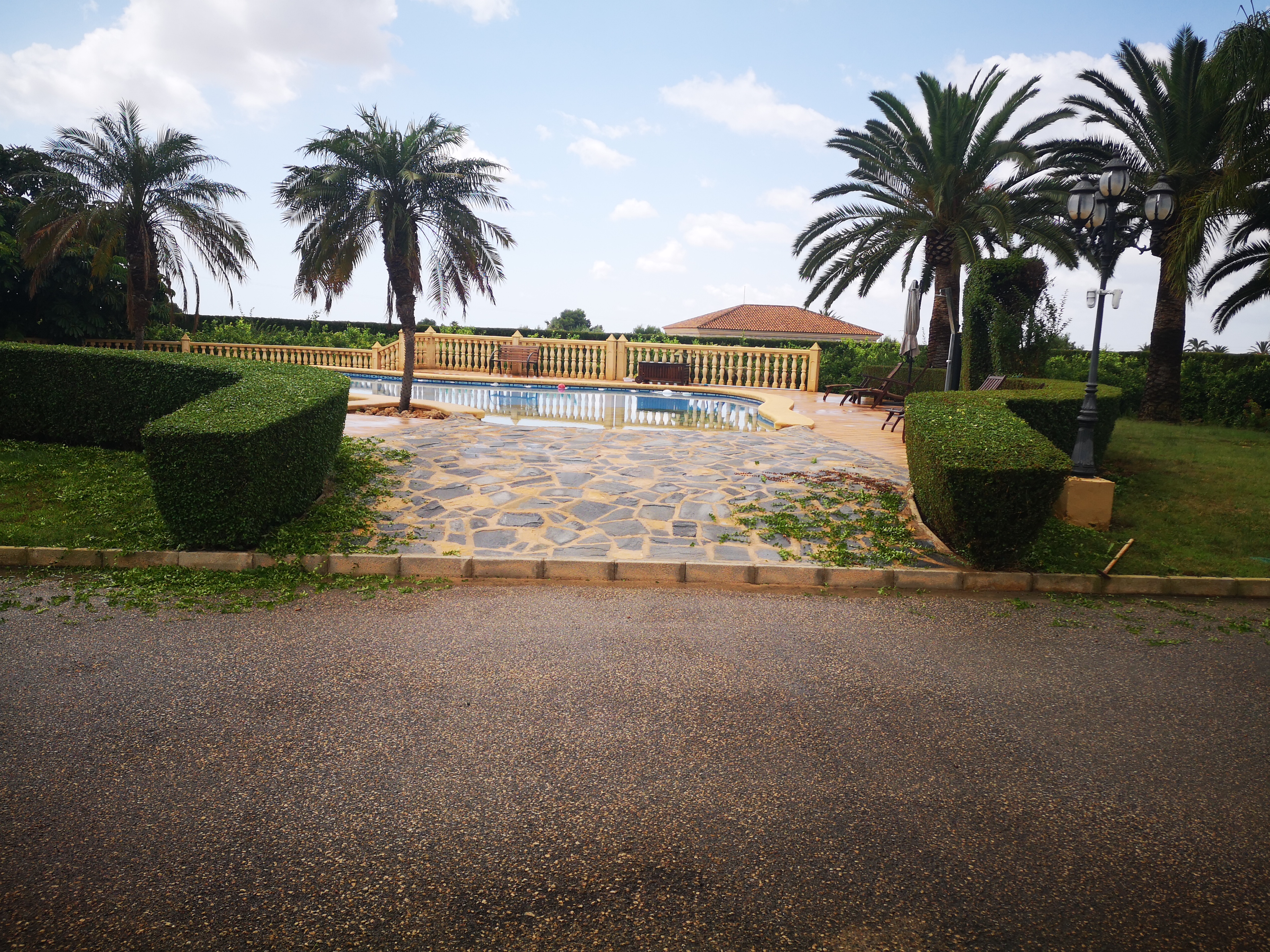 Jardín mediterráneo con palmeras y vegetación exuberante